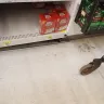 Walmart - poor customer service, very dirty store, unsafe conditions - Photo 6