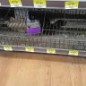Walmart - poor customer service, very dirty store, unsafe conditions - Photo 23