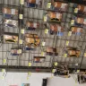 Walmart - poor customer service, very dirty store, unsafe conditions - Photo 33