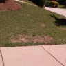 Spectrum.com - workers have left wire exposed and torn up our grass - Photo 2