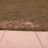 Spectrum.com - workers have left wire exposed and torn up our grass - Photo 5