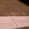 Spectrum.com - workers have left wire exposed and torn up our grass - Photo 6