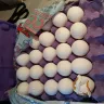 Costco - poor customer service from a cashier - Photo 2
