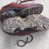 Ecco - soles of new shoes are gummy, sticky, and disintegrate! - Photo 1