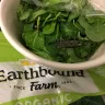 Costco - insect found in bag of greens