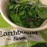 Costco - insect found in bag of greens - Photo 1
