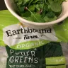 Costco - insect found in bag of greens