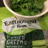 Costco - insect found in bag of greens - Photo 4