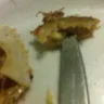 Captain D's - foreign objects in food - Photo 3
