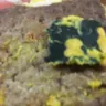 Wendy’s - bread plastic closure found in sandwich - Photo 1