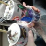 Dairy Queen - complaint - Photo 1