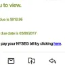 New York State Electric & Gas [NYSEG] - power shut off