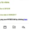 New York State Electric & Gas [NYSEG] - power shut off - Photo 2