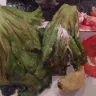 Panera Bread - rotting food!! - Photo 2