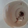 Air Wick - new aerosols that don't contain water - Photo 3