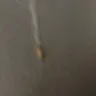 Kraft Heinz - kraft deluxe macaroni and cheese dinner (original cheddar) - Photo 1