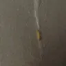 Kraft Heinz - kraft deluxe macaroni and cheese dinner (original cheddar) - Photo 5