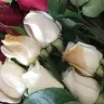 Costco - bad product-rotten roses - Photo 1
