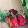 Costco - bad product-rotten roses