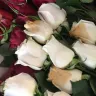 Costco - bad product-rotten roses - Photo 3
