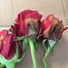 Costco - bad product-rotten roses