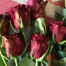 Costco - bad product-rotten roses - Photo 5
