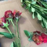 Costco - bad product-rotten roses - Photo 6