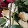 Costco - bad product-rotten roses