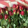 Costco - bad product-rotten roses - Photo 10
