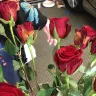 Costco - bad product-rotten roses - Photo 14