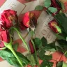 Costco - bad product-rotten roses