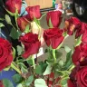 Costco - bad product-rotten roses - Photo 20