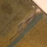 La Quinta Inns & Suites - customer, service, room cleanliness maids smoking in room - Photo 1
