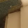 La Quinta Inns & Suites - customer, service, room cleanliness maids smoking in room - Photo 2