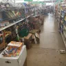 Dollar Tree - non-stocked store #6128 - Photo 6