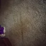 Air Wick - freshomatic - Photo 2