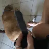 Ecco - I am complaining about my ecco sandals I purchased - Photo 2