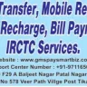 GMS Pay Smart Biz - white label fraud by gmspaysmartbiz (recharge & money transfer)