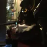NJ Transit - unqualified/ unprofessional bus driver - Photo 2
