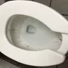 Whataburger - restroom women - Photo 1