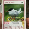 Pick n Pay - animal cards printed incorrectly - Photo 1