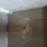 Morgan Properties - water in the basement going on 2 weeks - Photo 1