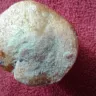 Hostess Brands - mini muffins - Photo 1