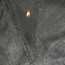 Best Western International - service and bed bugs! - Photo 6