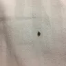 Best Western International - service and bed bugs! - Photo 8