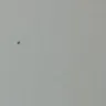 Hotels.com - bites from bed bugs - Photo 1
