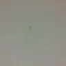 Hotels.com - bites from bed bugs - Photo 2