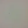 Hotels.com - bites from bed bugs - Photo 3