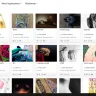 Behance - Violation of artistic freedoms - Photo 2