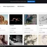 Behance - Violation of artistic freedoms